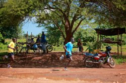 Film Review - Transcend